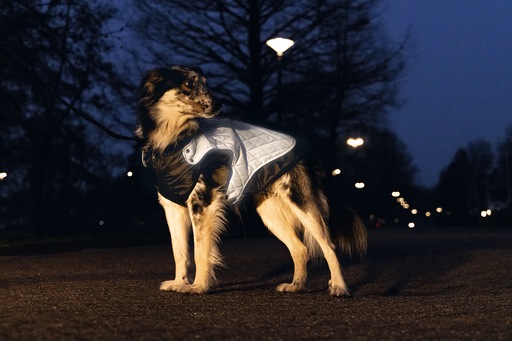 Immagine prodotto Beeztees Allia (44, Cappotto per cani)