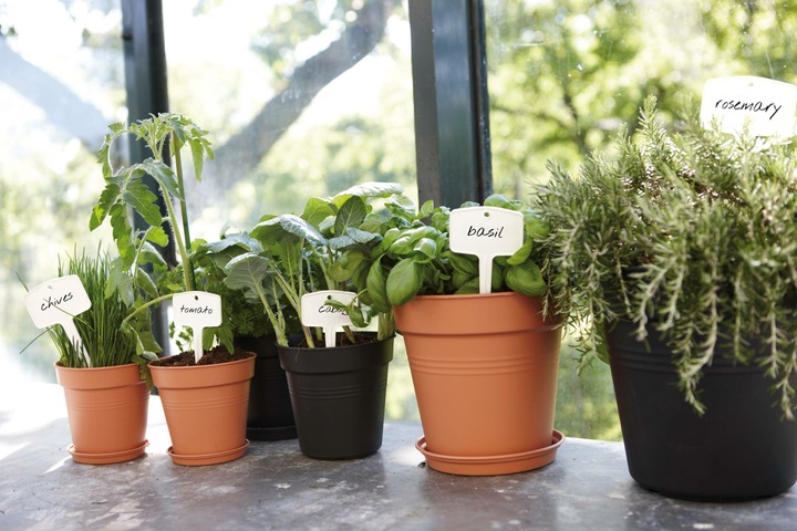 Actual product image Elho Green Basics