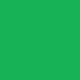 Immagine prodotto Talens Vernice opaca Ecoline (Verde primavera, 30 ml)