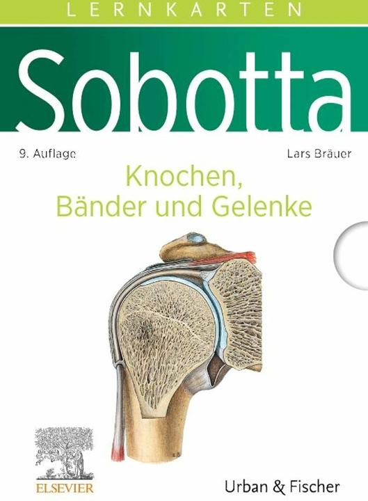 Bräuer:Sobotta Lernkarten Knochen, Bänd (Deutsch, Lars Bräuer, 2024)