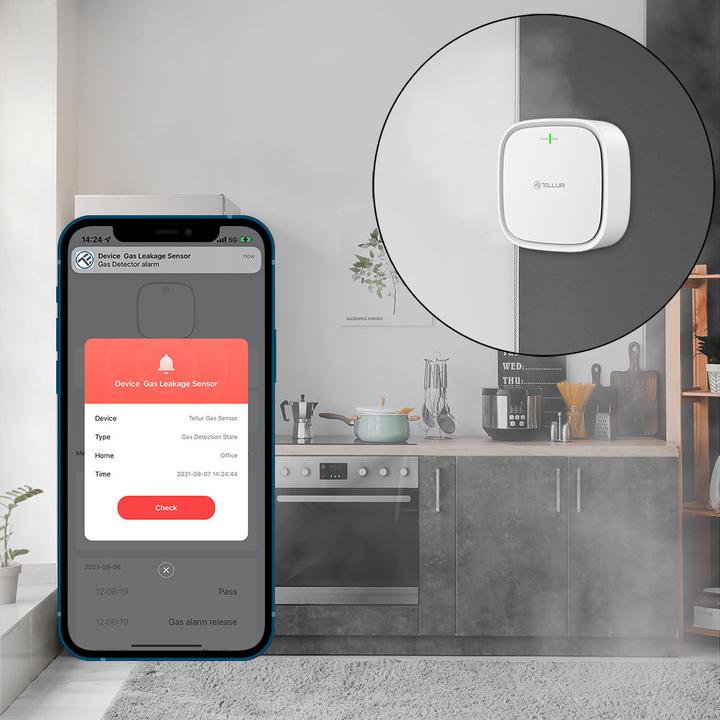 Actual product image Tellur Smart WiFi Gas Sensor DC12V 1A baltas