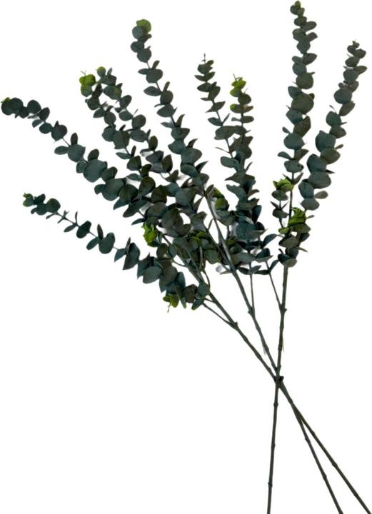 Produktbild Edle Kunstpflanze Eukalyptuszweige 80cm – Realistische Dekozweige ideal für Vase & Kranz – 3er Bund