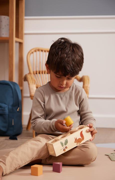 Actual product image Filibabba Plug-in game