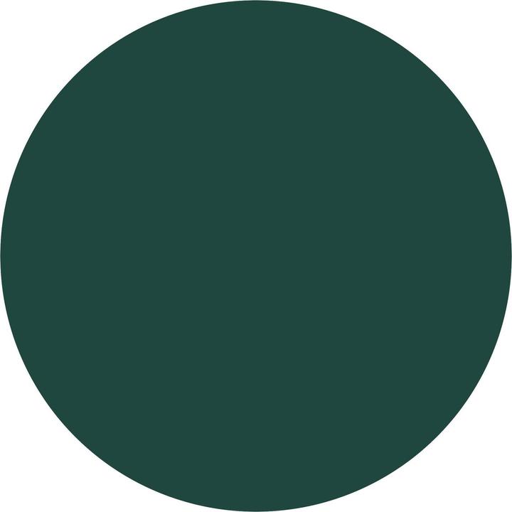 Image du produit Catrice ICONAILS vernis à ongles (158 Deeply In Green, Vernis à ongles effet gel)