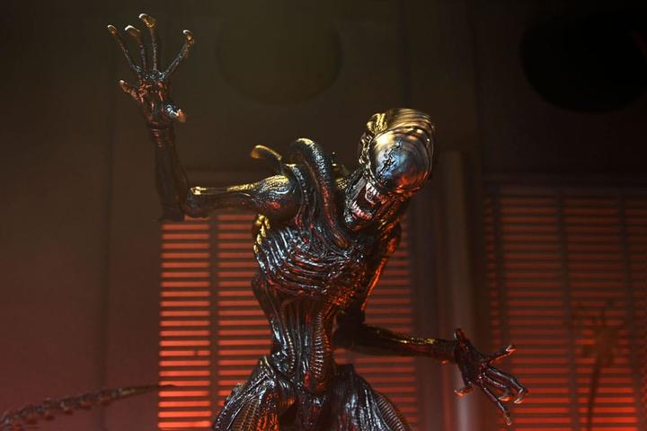 Actual product image Neca Alien: Romulus Ultimate Scorched Xenomorph