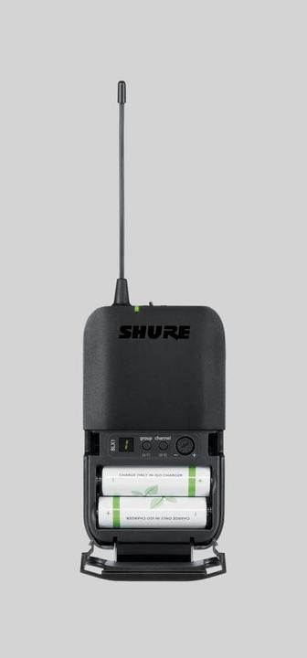 Actual product image Shure BLX14E/SM31-M17