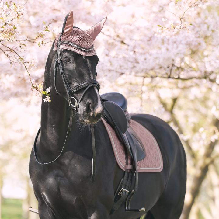 Image du produit Imperial Riding pour cheval Riding Lenny
