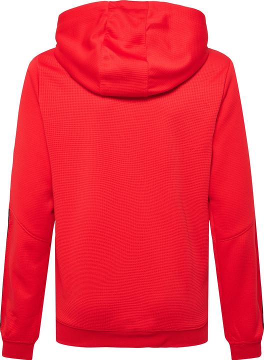 Actual product image hummel Authentic Kids Poly Hoodie (116)
