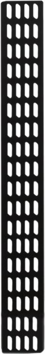 Actual product image DS-IT Vertical cable management strip