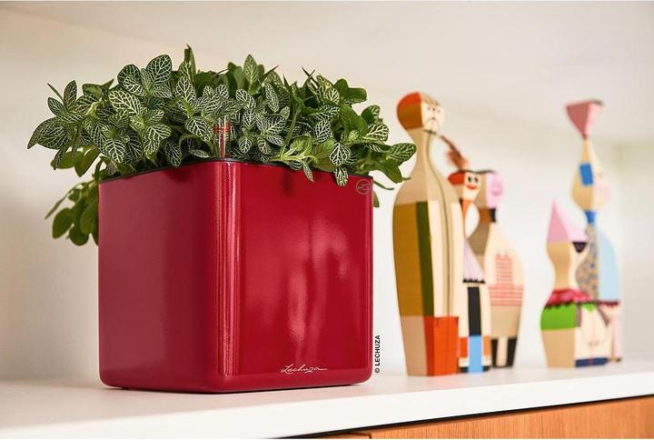 Produktbild Lechuza Cube Glossy 14 (14 x 14 x 14 cm)