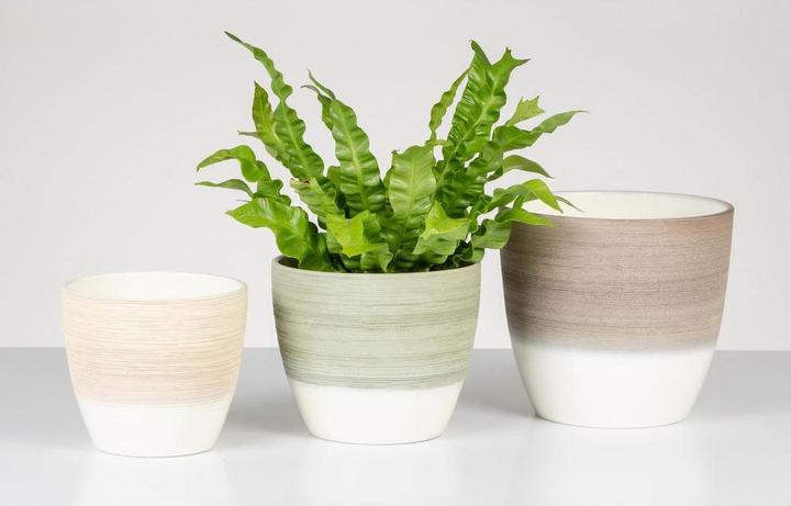 Produktbild Scheurich Blumentopf Matcha Cream 950, 16 cm, Grün, Detailfarbe (16 cm)