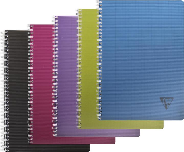 Clairefontaine LINICOLOR booklet seyes (A4, Soft cover)