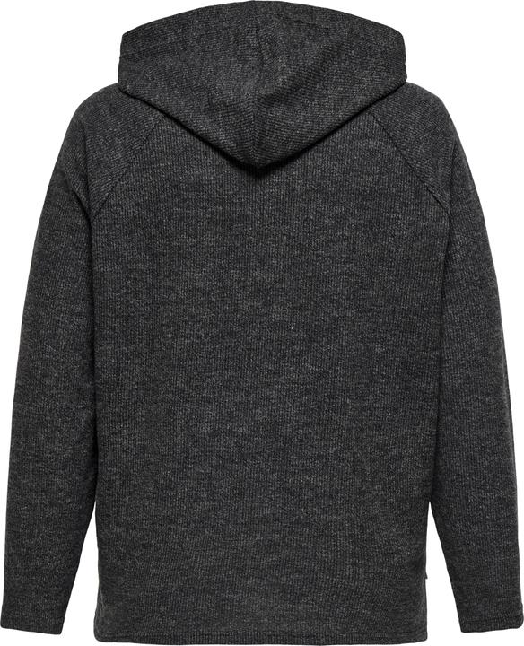 Immagine prodotto Only CARBIZZY Sweatshirt Kapuzenpullover (M)