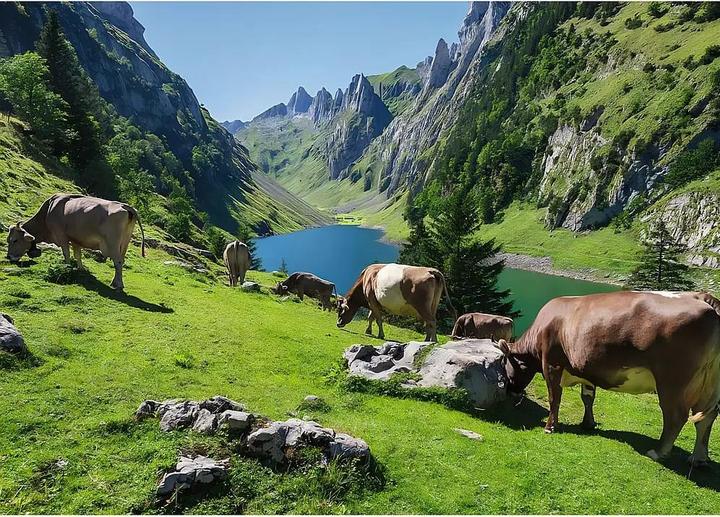 Immagine prodotto Ravensburger Fälensee (1000 pezzi)