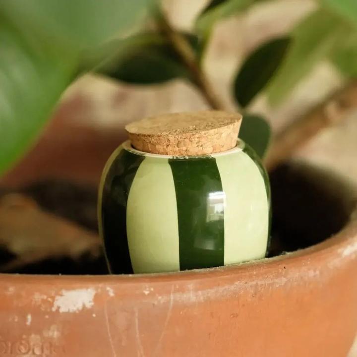 Actual product image Pepin Olla (Clay cone)