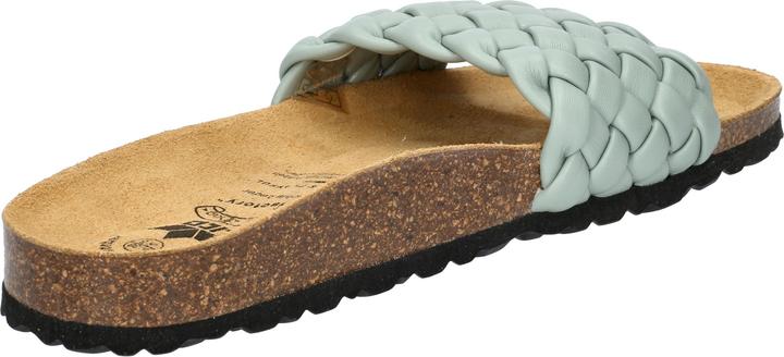 Image du produit Lico Bioline Plait (41)