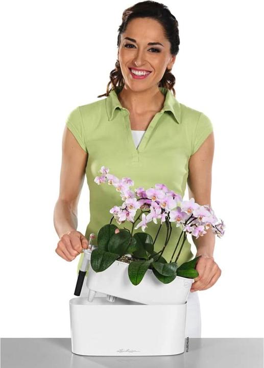 Produktbild Lechuza Delta (30 x 11 x 13 cm)