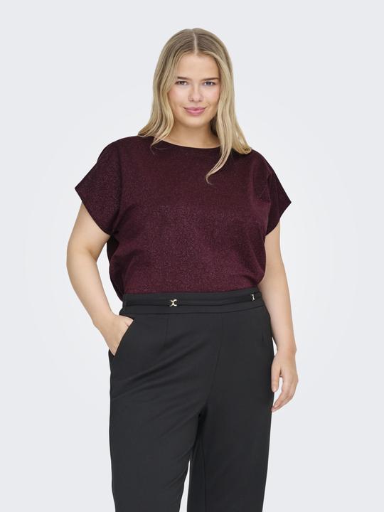 Image du produit Only Carmoster Glitter S/S Top Jrs Noos (L)