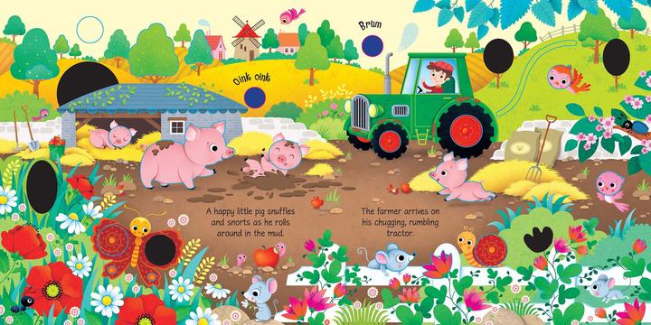 Produktbild Farm Sounds (Englisch, Federica Iossa, Sam Taplin, 2018)