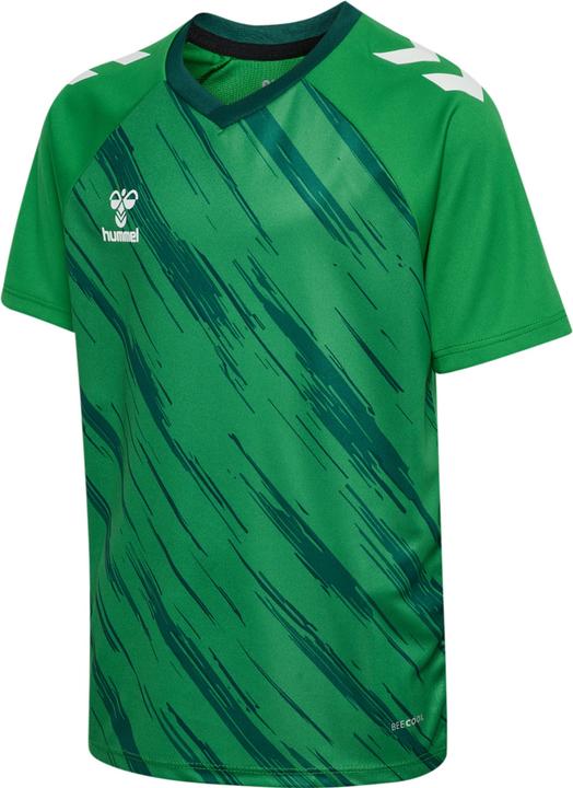 Jelly, Bean, Guards, Botanical