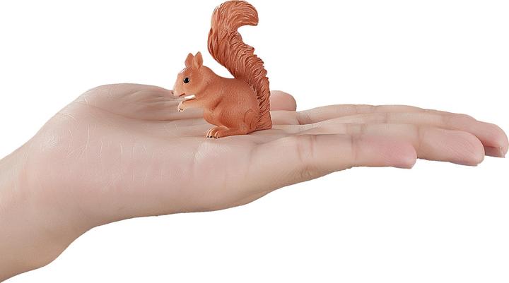 Produktbild Animal Planet Eichhörnchen