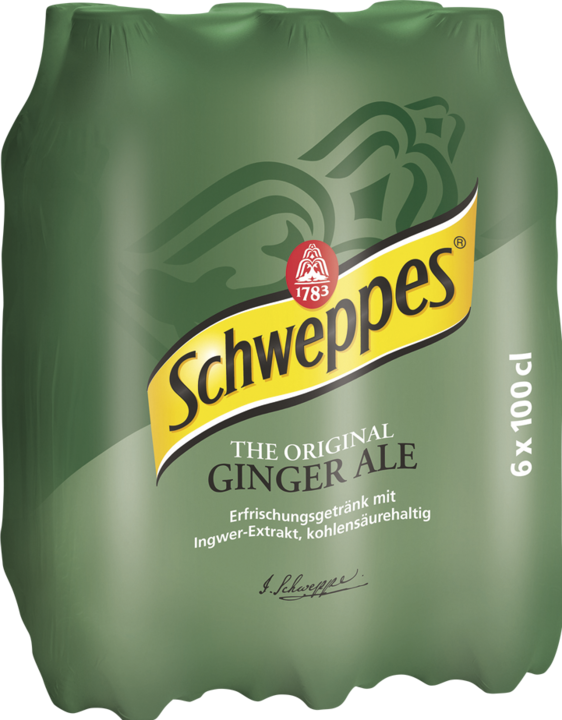 Schweppes Ginger Ale (6 x 100 cl)