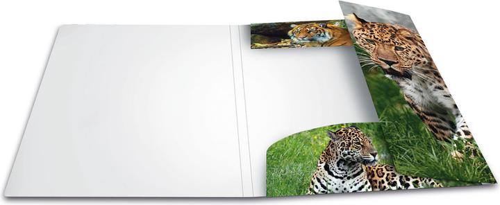 Image du produit HERMA Porte-documents A4 Motif (A4, 1 x)