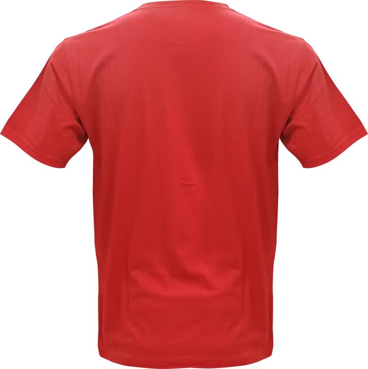 Actual product image TopSpirit 1291 Swiss (XXL)