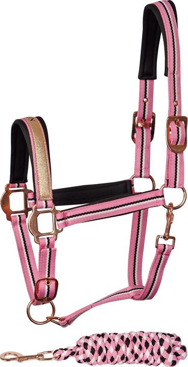 Immagine prodotto Harry's Horse set di cavezze per cavalli mare