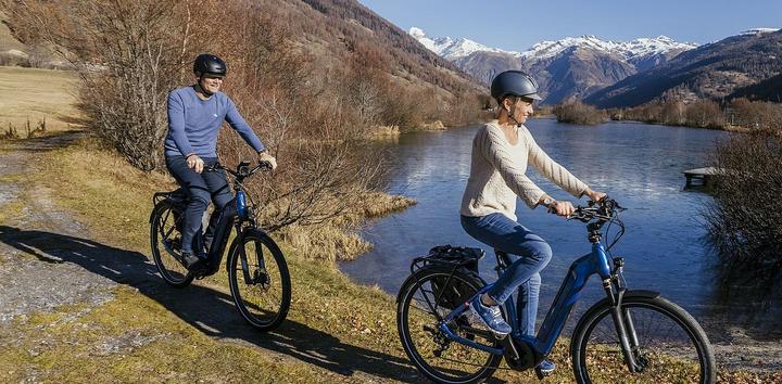 Produktbild Flyer Gotour6 7.43 (49 cm)