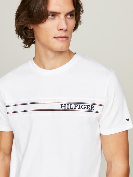 Actual product image Tommy Hilfiger T-shirt for men (M)