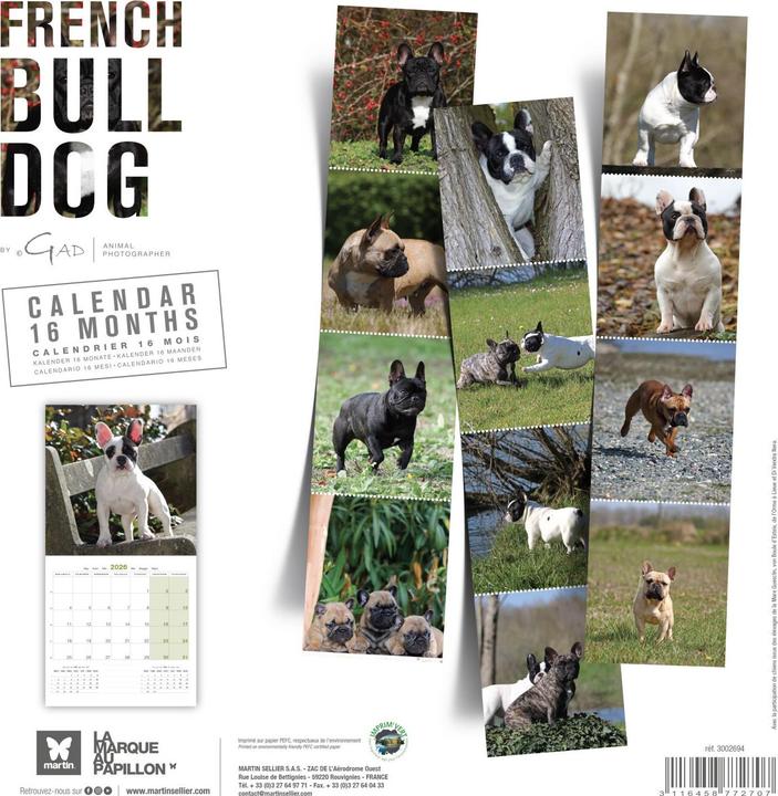 Produktbild Martin Sellier Buledogue Francais