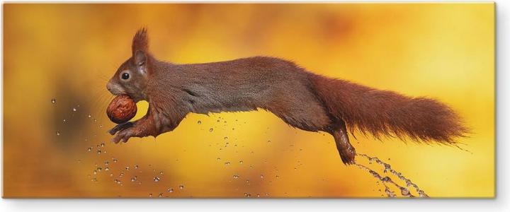 Image du produit Trenddeko van Duijn - Écureuil en sautant (80 x 30 cm)
