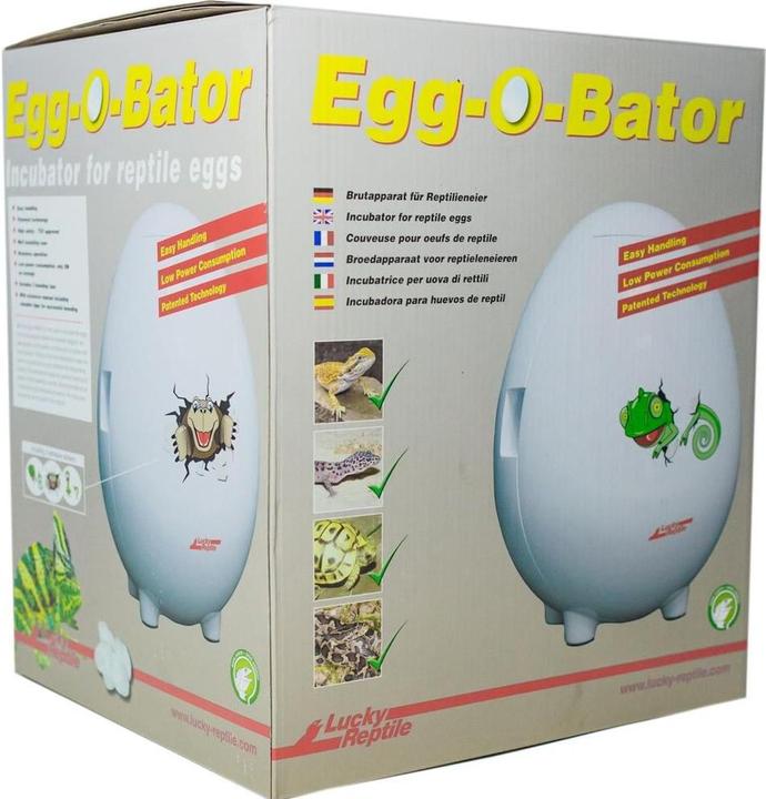 Actual product image Lucky Reptile Egg-O-Bator Broedkast