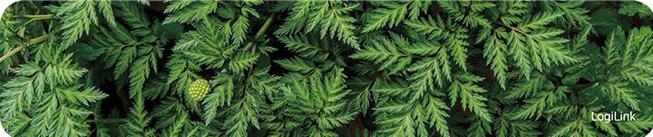 Actual product image LogiLink Forest
