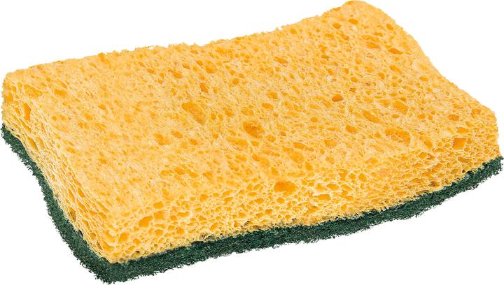 Actual product image Scotch-Brite Classic (2 pcs.)