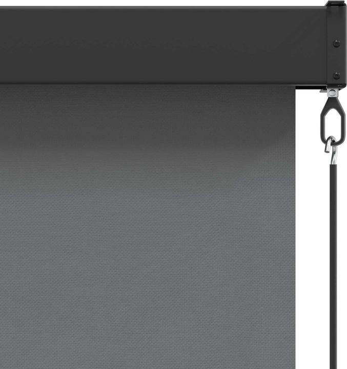 Produktbild vidaXL Outdoor Rollo (100 x 250 cm)