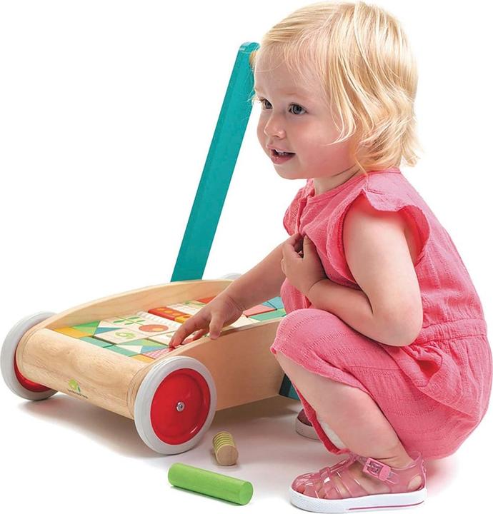 Image du produit Tender Leaf Toys Marcheur pour bébés avec des blocs