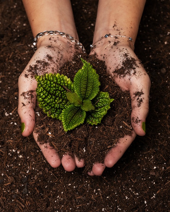 Actual product image feey Earth (10 l, Soil without peat)