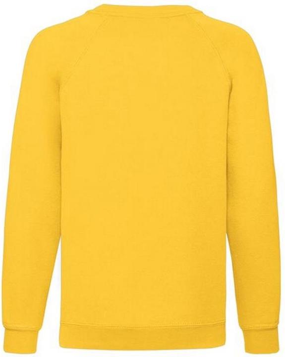 Immagine prodotto Fruit of the Loom UTBC1365 P (12XL)