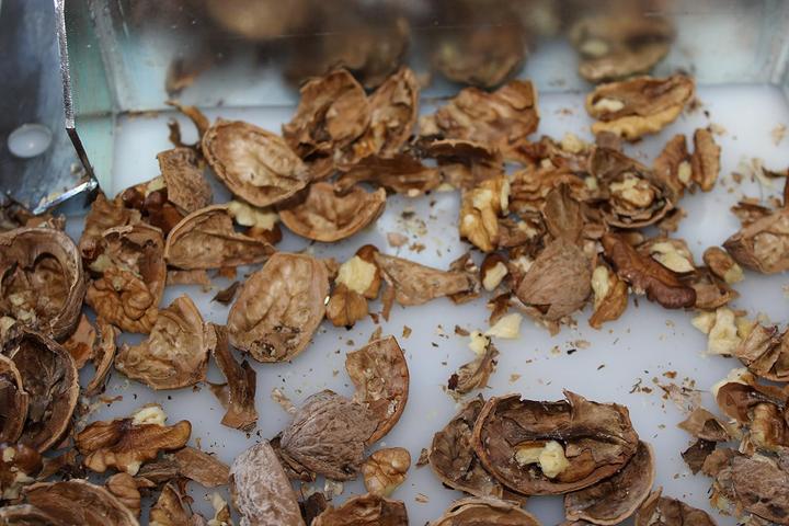 Produktbild Feucht Obsttechnik Nussknacker Knacki Junior