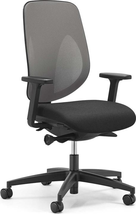 Produktbild Giroflex 353 Netzrücken