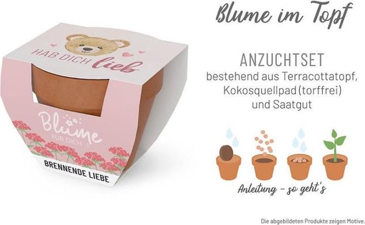 Image du produit La Vida Fleur FD D5,5H5 Chat Zoo (5.50 x 5 cm)