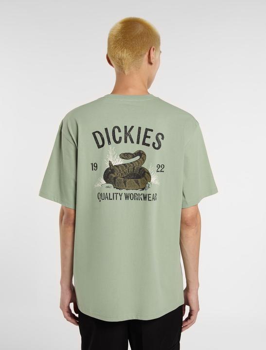 Image du produit Dickies Snake Ss Tee Iceberg Green (M)