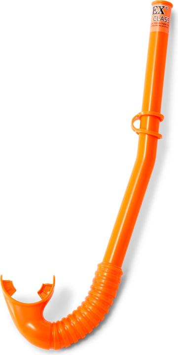 Actual product image Intex Shark
