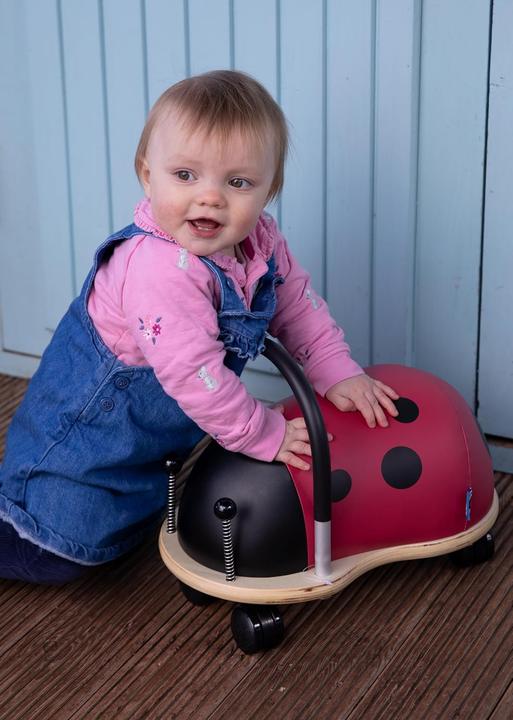 Image du produit Wheely Bug Coccinelle petite