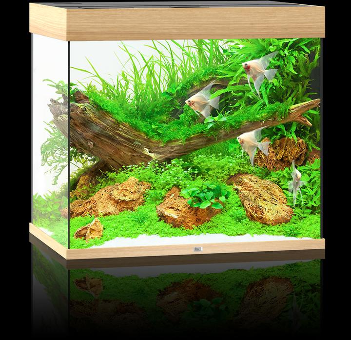 Produktbild Juwel Aquarium Aquarium Lido 200, 71x51x65cm,hell (200 l)