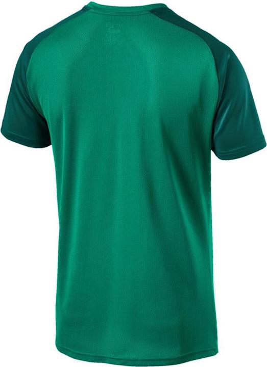 Actual product image Puma CUP Training Jersey Core (S)
