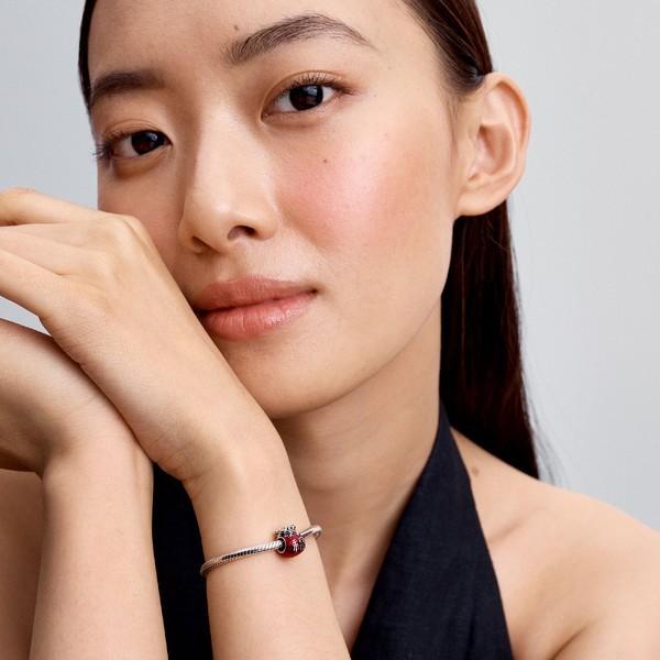 Image du produit Pandora Moments