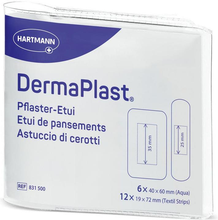 Produktbild DermaPlast Pflaster-Etui (18x)